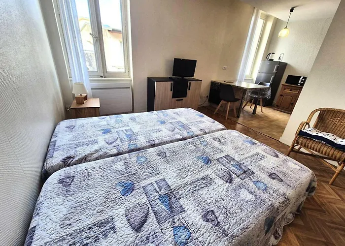 Appartement Le Juturna - A Proximite Du Centre Et Des Thermes D'aix-les-bains ! Mae-7054 *